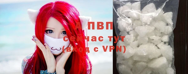 PSILOCYBIN Балахна