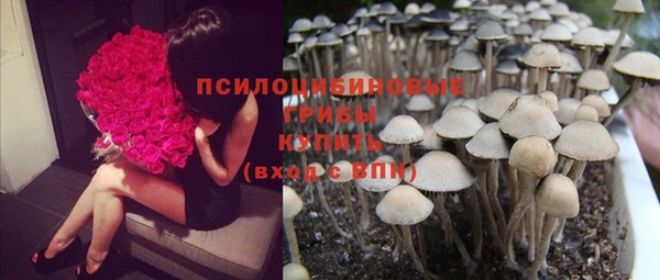 PSILOCYBIN Балахна
