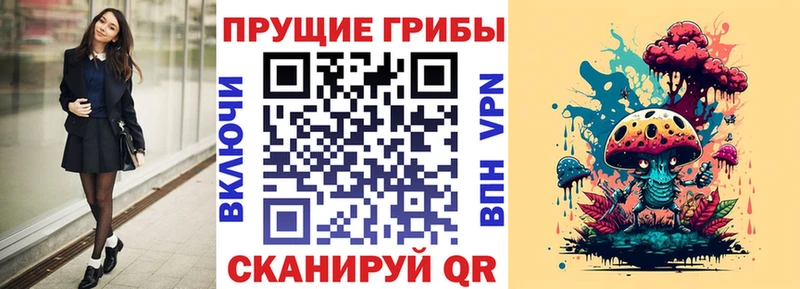 OMG ССЫЛКА  Бирюсинск  Псилоцибиновые грибы Cubensis 